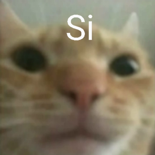 cat_si