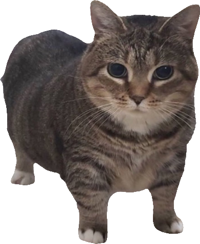 :sneedbuddy: